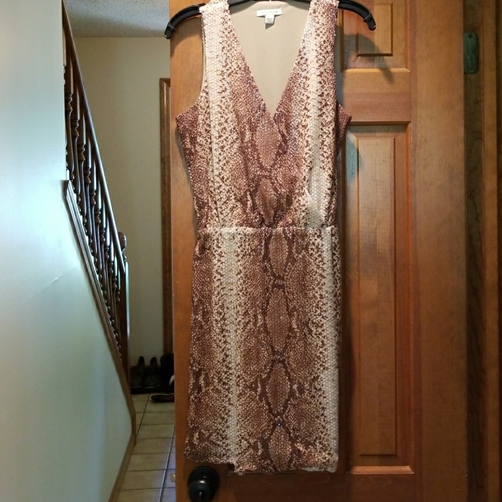 Boston Proper Priny Dress